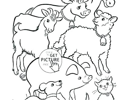 Barn Animals Coloring Pages at GetColorings.com | Free printable