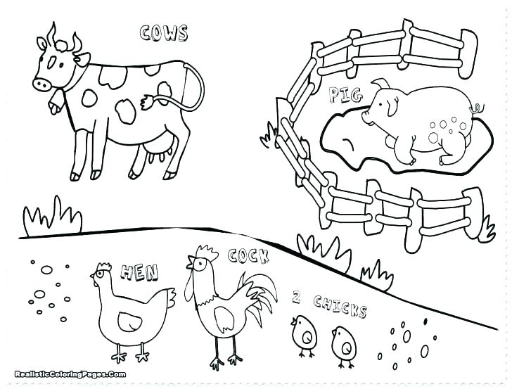 10 Barn Animal Coloring Pages for Creative Little Farmers