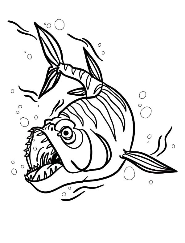 barracuda-coloring-page-at-getcolorings-free-printable-colorings-pages-to-print-and-color