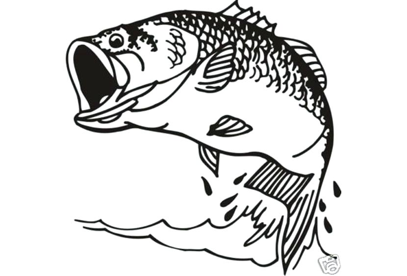 Bass Boat Coloring Pages at GetColorings.com | Free printable colorings