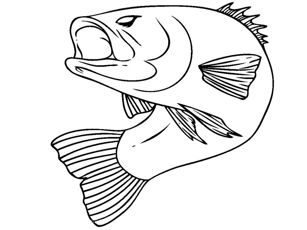 Bass Fish Coloring Pages at GetColorings.com | Free printable colorings