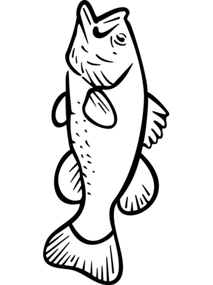 Bass Fish Coloring Pages at GetColorings.com | Free printable colorings