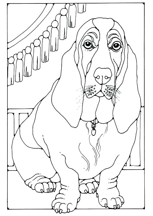 Basset Hound Coloring Page at GetColorings.com | Free printable