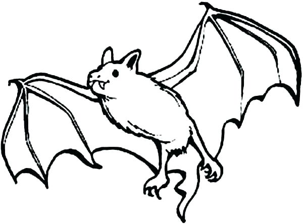 Bat Coloring Pages at GetColorings.com | Free printable colorings pages
