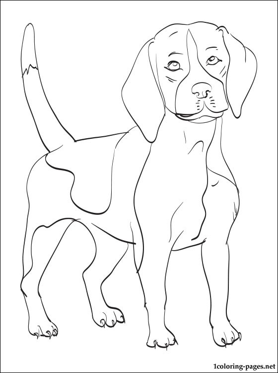 Beagle Dog Coloring Pages at GetColorings.com | Free ...