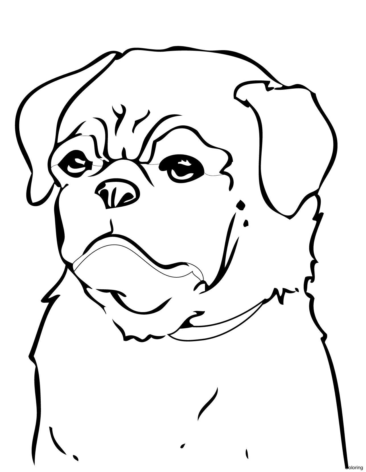 Beagle Dog Coloring Pages at Free