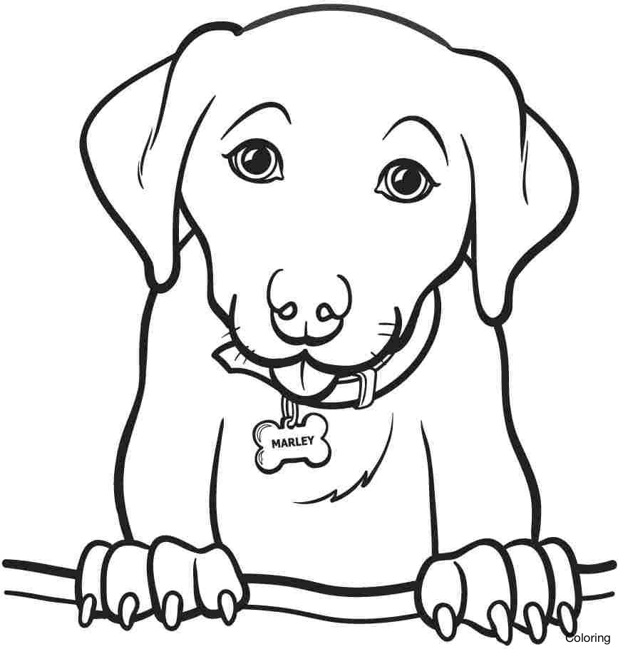 Beagle Dog Coloring Pages at GetColorings.com | Free ...
