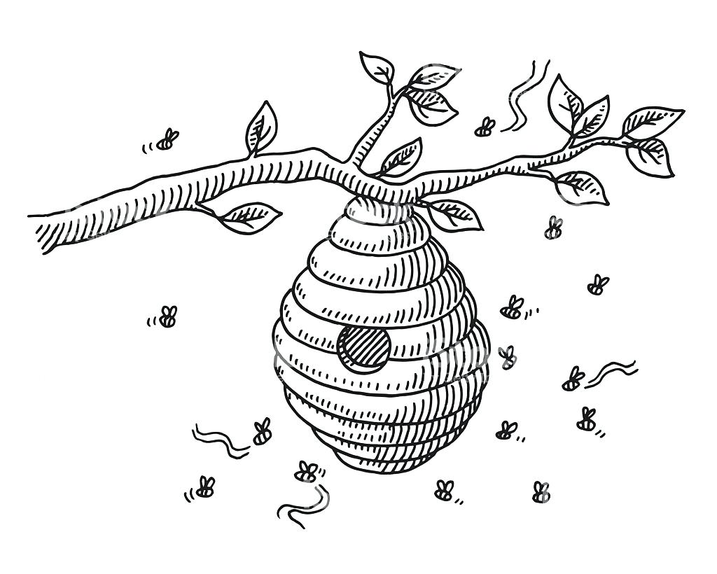 Beehive Coloring Page At GetColorings Free Printable Colorings 