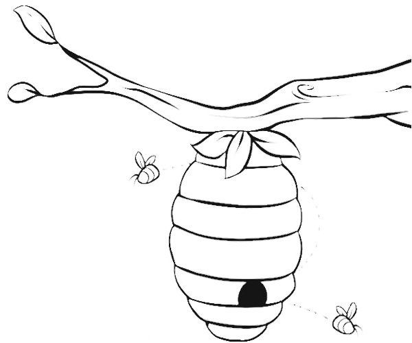 beehive-coloring-page-at-getcolorings-free-printable-colorings-pages-to-print-and-color
