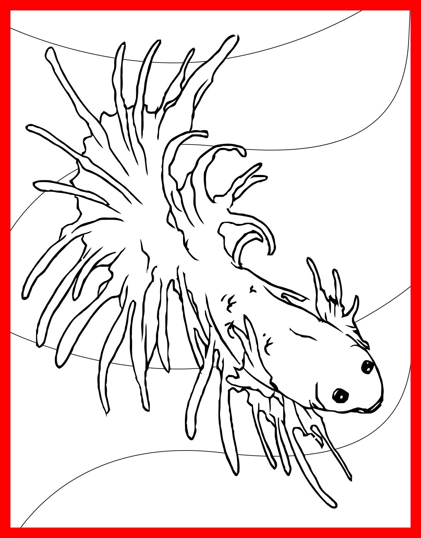 Betta Coloring Page at GetColorings.com | Free printable colorings