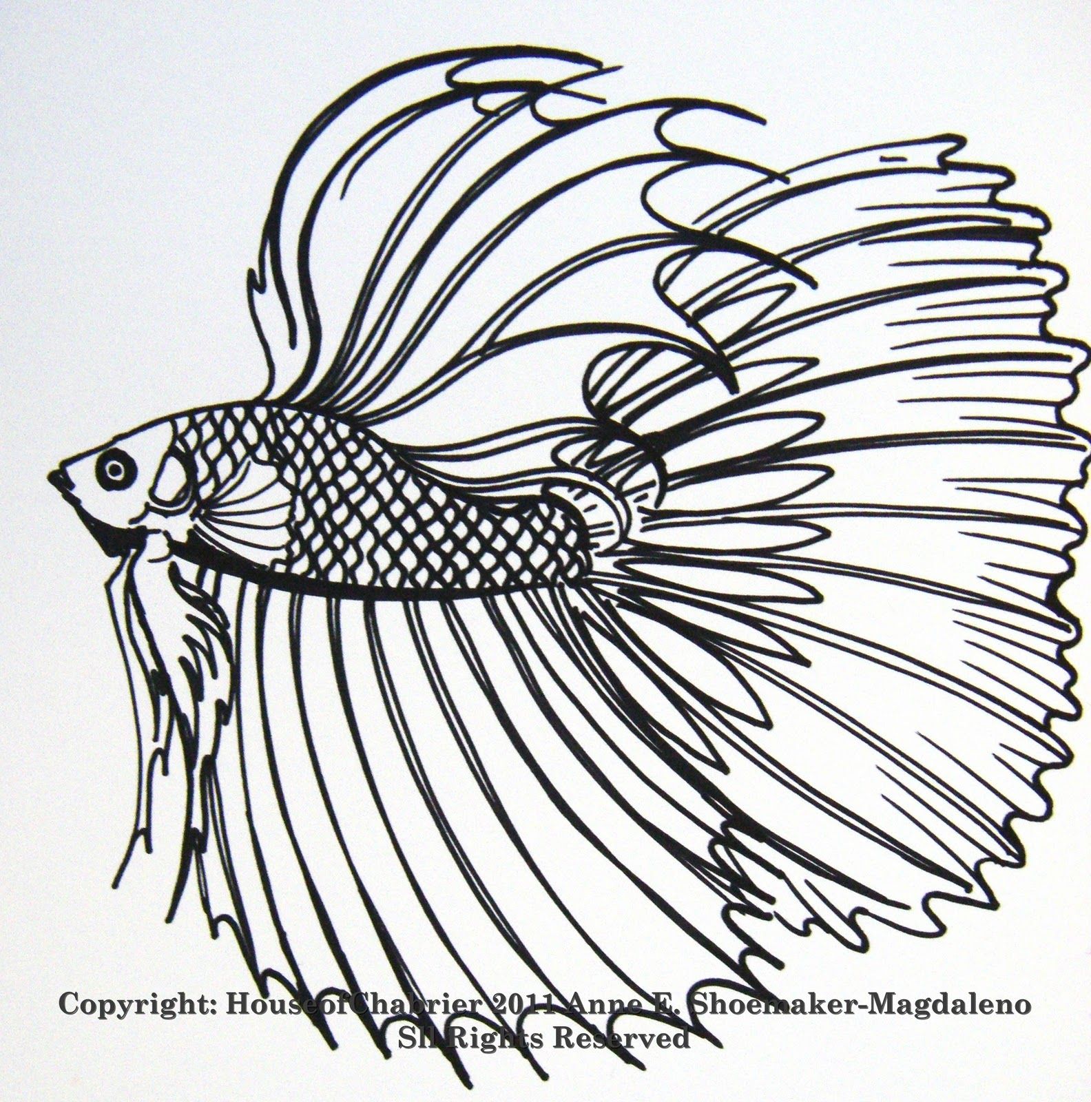 Betta Fish Coloring Pages at GetColorings.com | Free printable