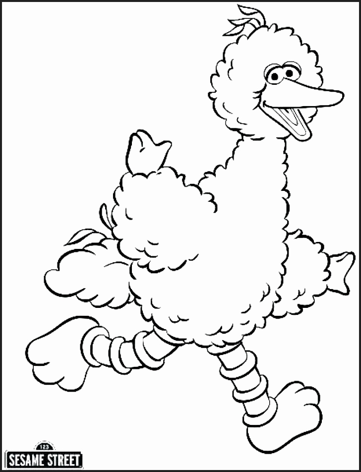 Big Bird Coloring Pages At GetColorings Free Printable Colorings Pages To Print And Color