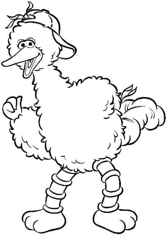 Baby Big Bird Coloring Pages - We would like to show you a description
