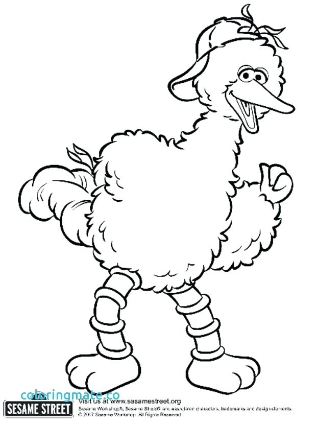 Big Bird Coloring Pages At Getcolorings.com 