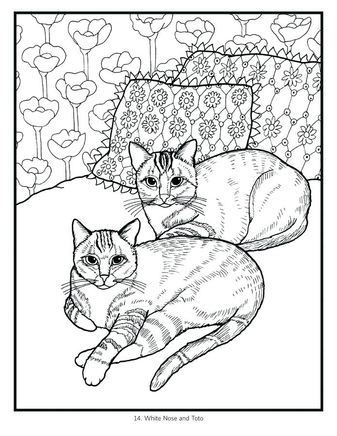 Big Cat Coloring Pages at GetColorings.com | Free printable colorings