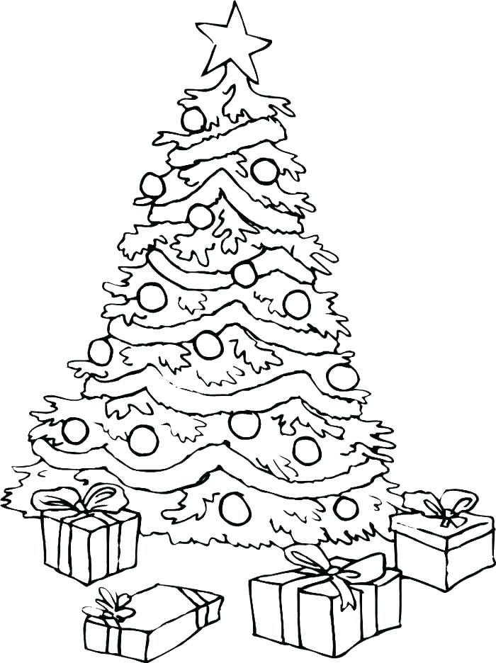 big tree coloring pages at getcolorings  free
