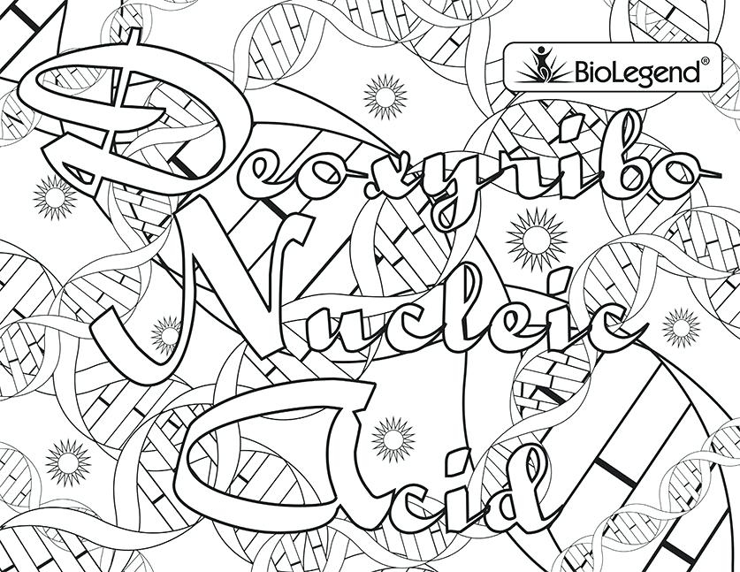 Biology Coloring Pages at GetColorings.com | Free printable colorings