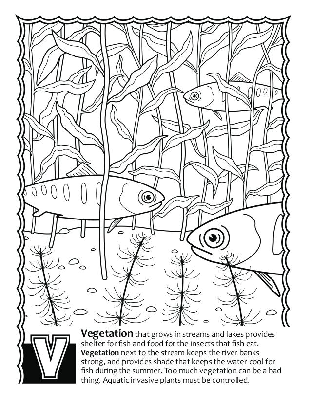 Biology Coloring Pages at Free printable colorings