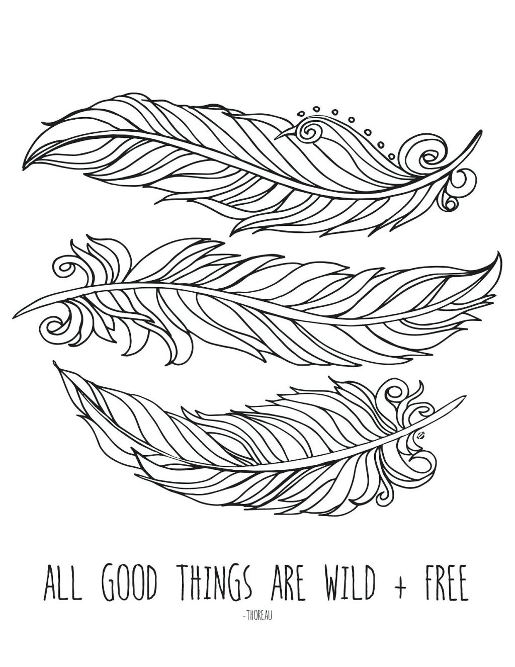 Bird Feather Coloring Pages at Free