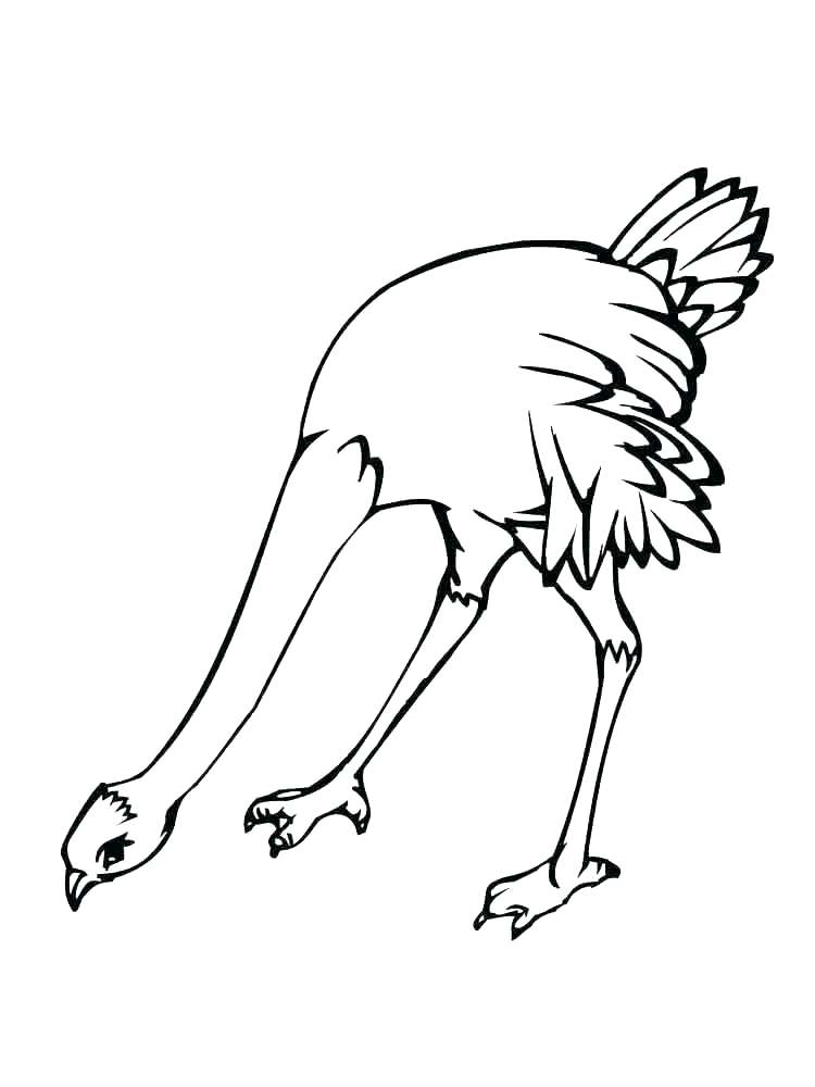 Bird In Cage Coloring Page At GetColorings