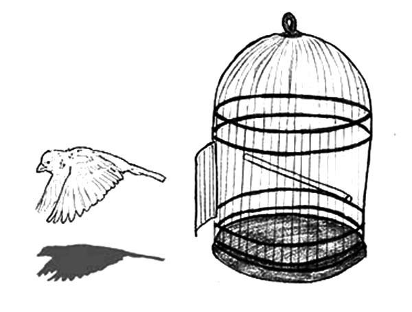 Bird In Cage Coloring Page at GetColorings.com | Free printable