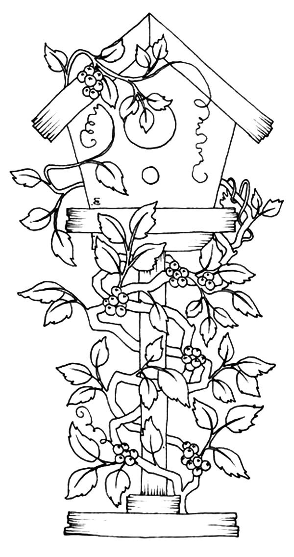 Birdhouse Coloring Pages at GetColorings.com | Free printable colorings