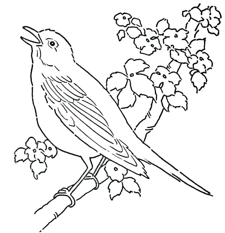 Birds And Flowers Coloring Pages at GetColorings.com | Free printable