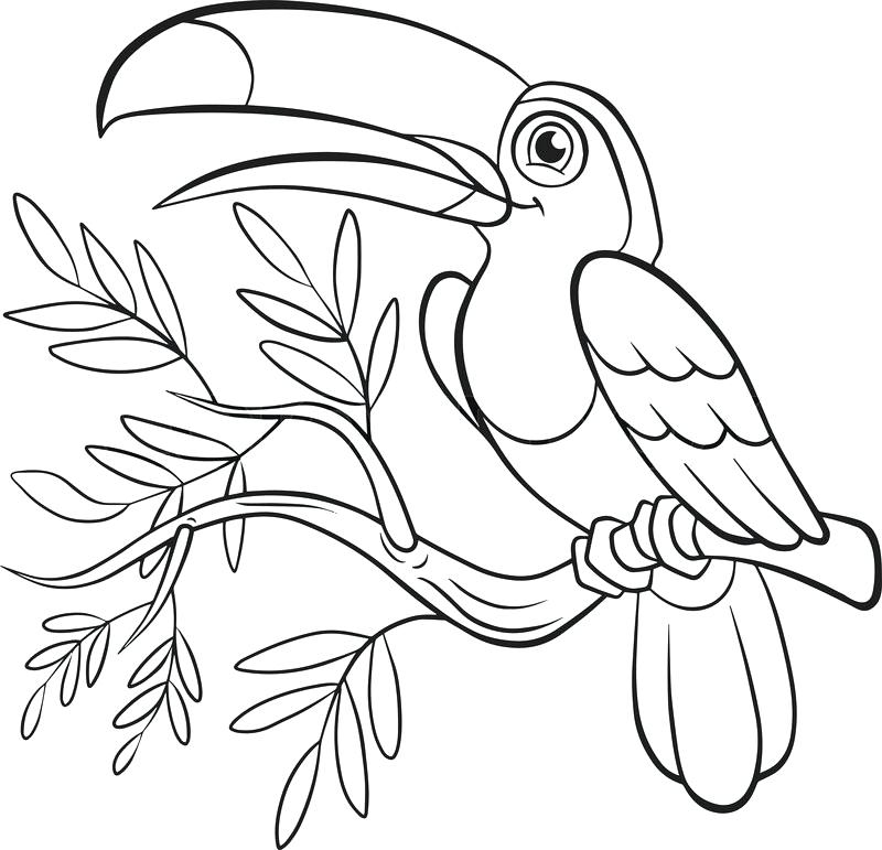 Birds And Flowers Coloring Pages at GetColorings.com ...