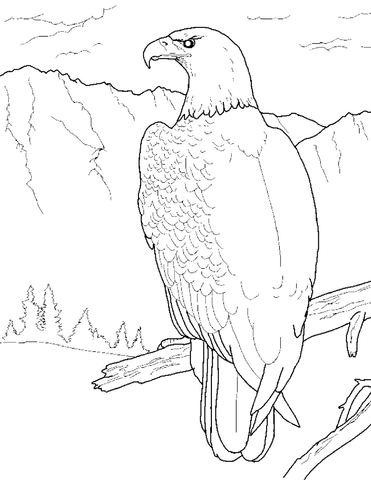 Birds Of Prey Coloring Pages at GetColorings.com | Free printable