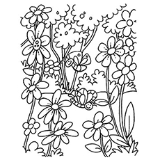 Black And White Coloring Pages Of Flowers at GetColorings.com | Free