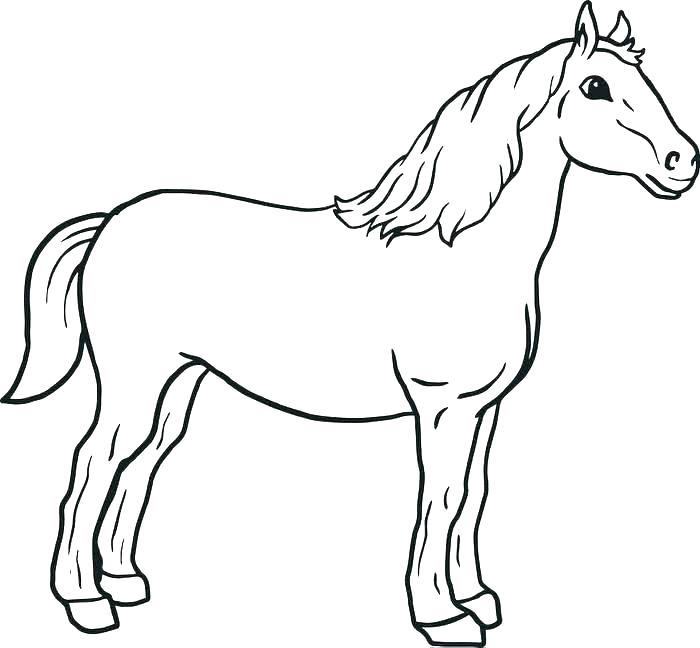 Black And White Horse Coloring Pages at Free
