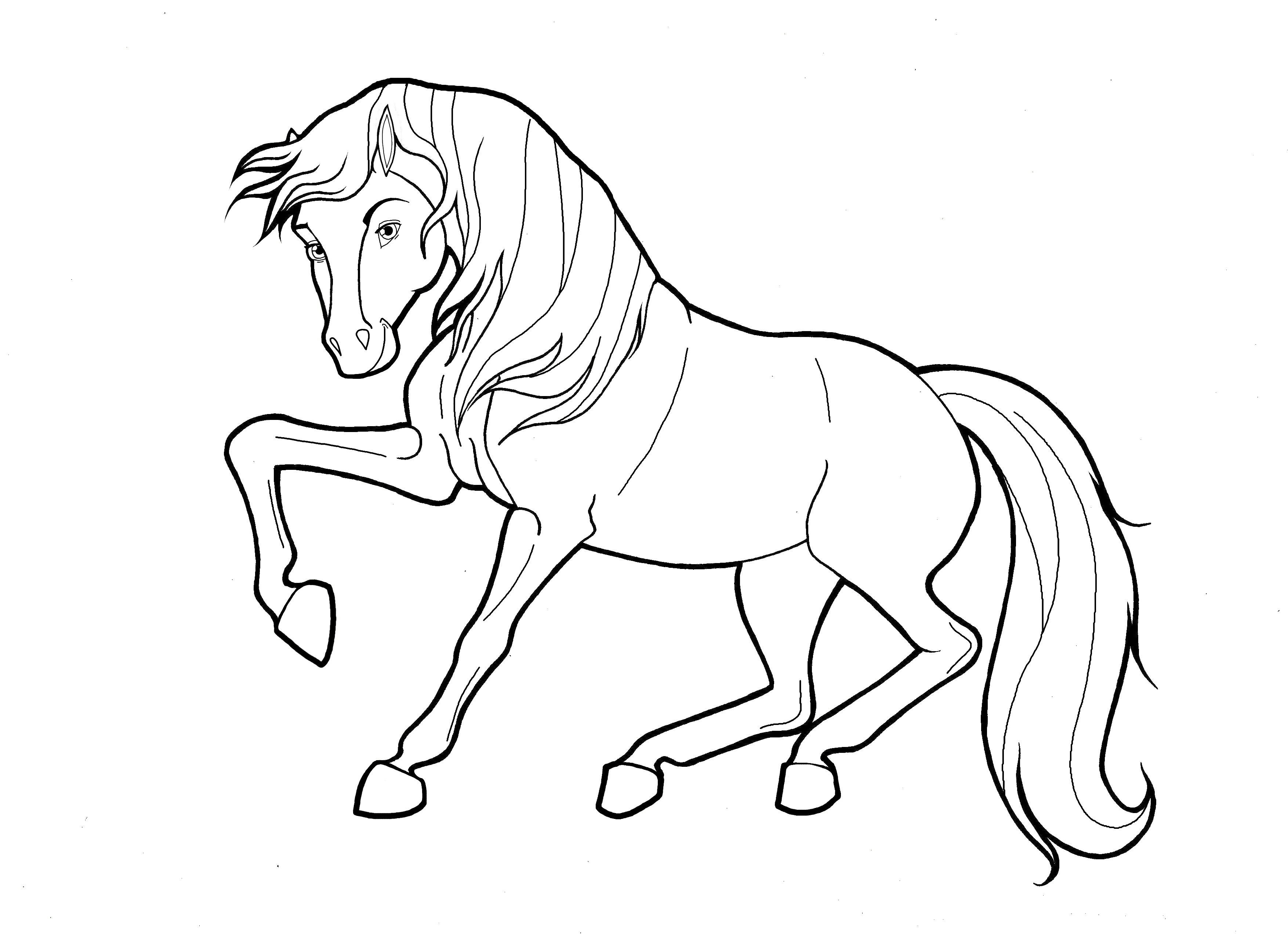 Black And White Horse Coloring Pages at GetColorings.com ...