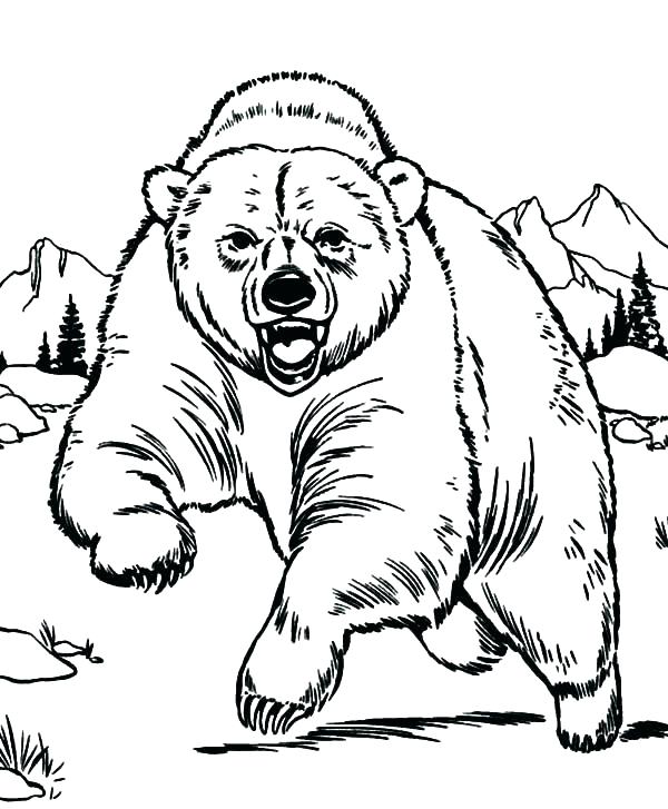 Coloring Pages Black Bear At GetColoringscom | Free Printable