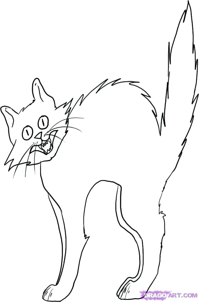 Black Cat Coloring Pages Halloween at GetColorings.com | Free printable
