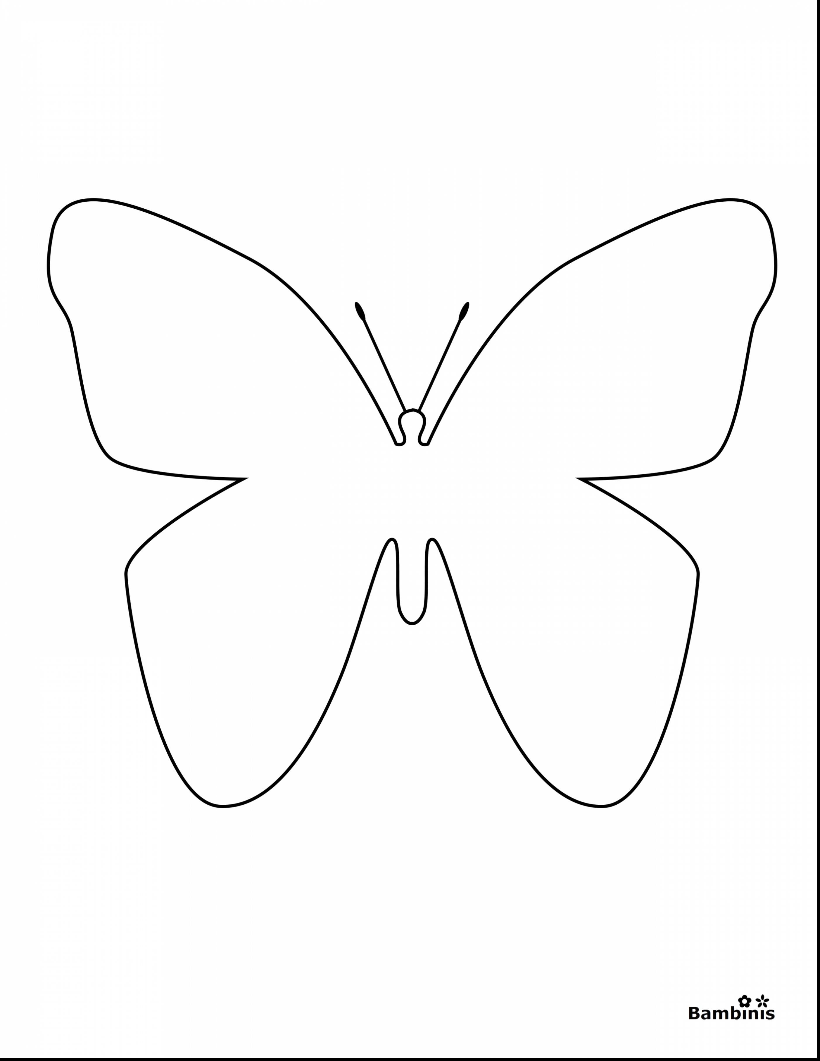 blank-butterfly-coloring-pages-at-getcolorings-free-printable