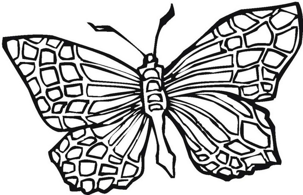 Blank Butterfly Coloring Pages at GetColorings.com | Free ...