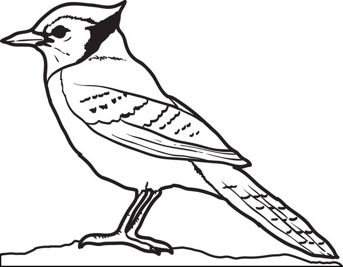 blue-bird-coloring-pages-at-getcolorings-free-printable-colorings