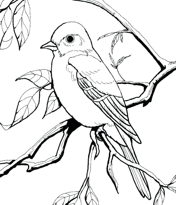 Blue Bird Coloring Pages at GetColorings.com | Free printable colorings