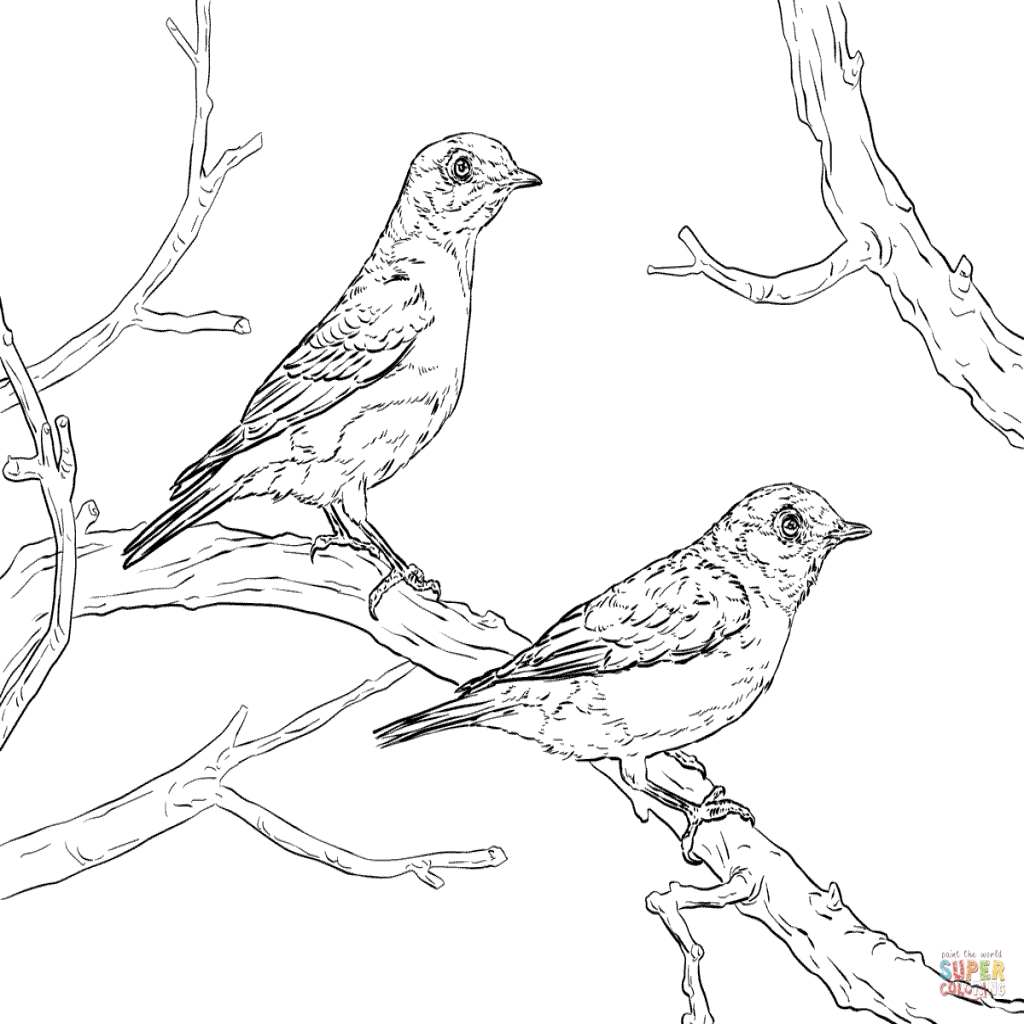Blue Bird Coloring Pages at GetColorings.com | Free printable colorings