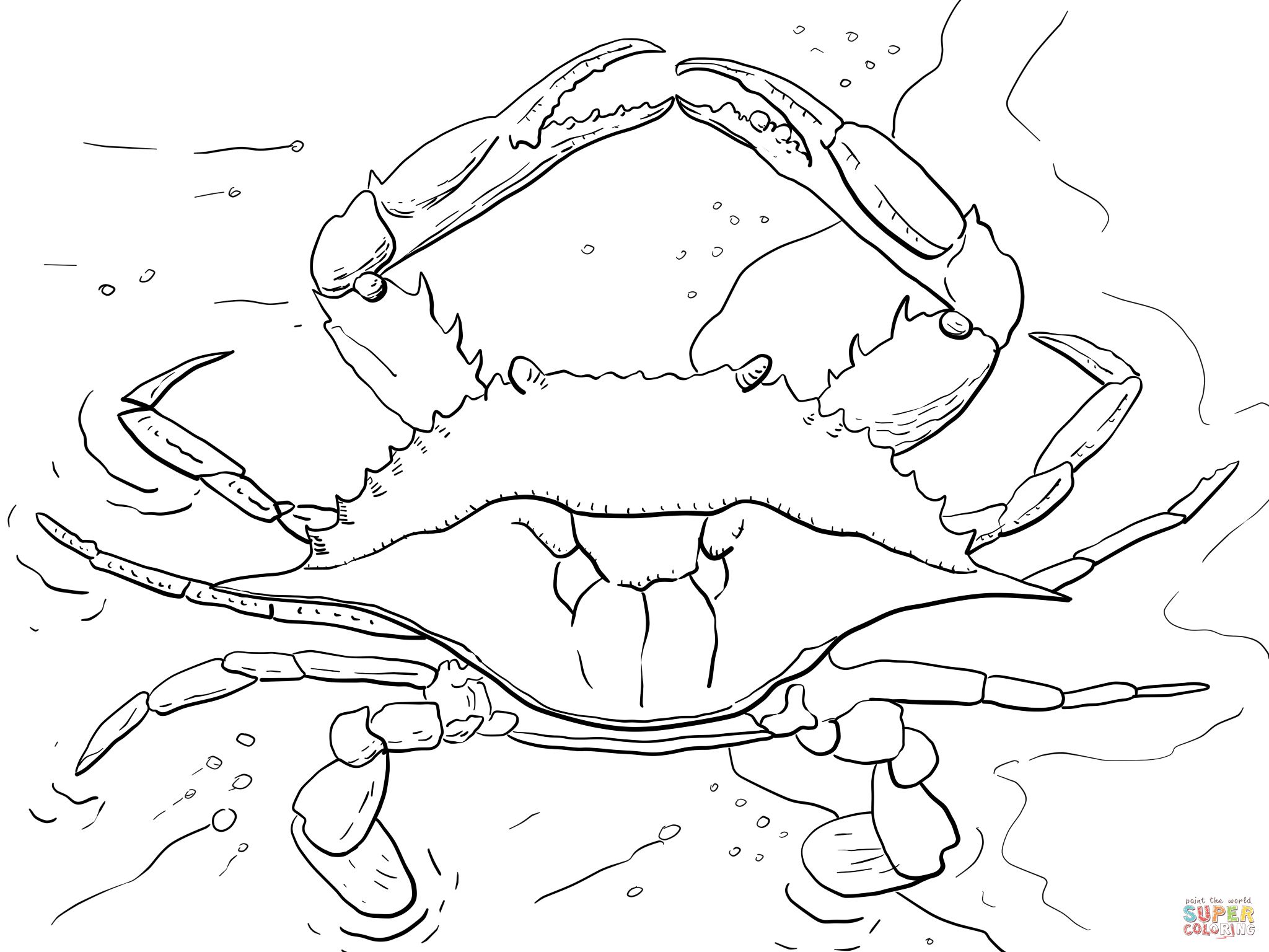 Sebastian The Crab Coloring Pages at GetColorings.com | Free ... Sebastian The Crab Coloring Pages at GetColorings.com | Free ...