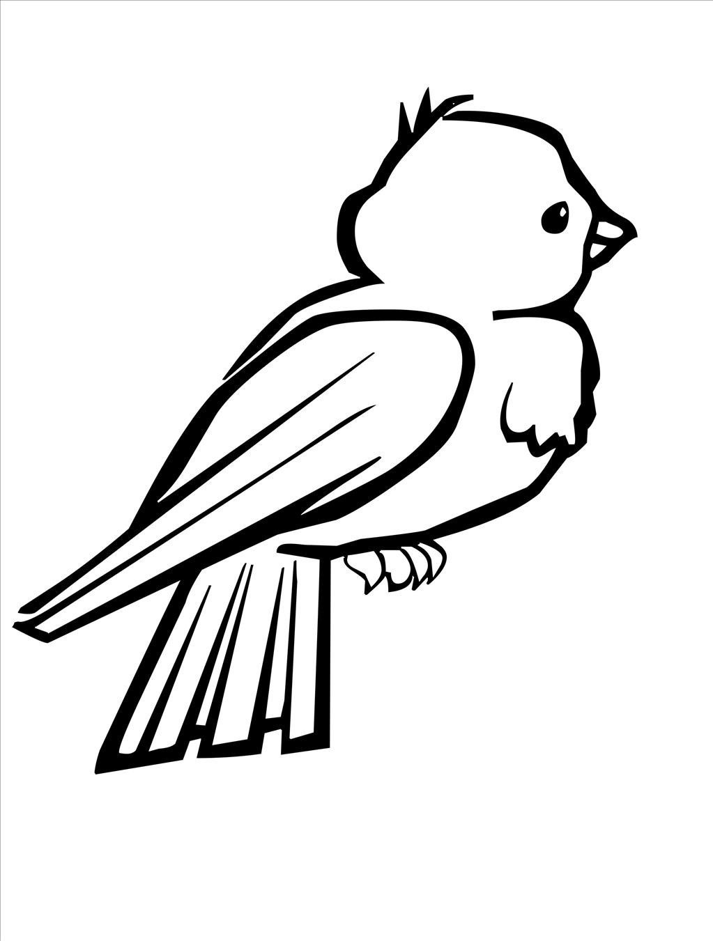 blue-jay-coloring-page-at-getcolorings-free-printable-colorings