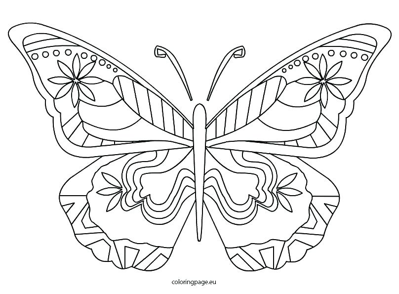 Blue Morpho Butterfly Coloring Page at GetColorings.com | Free