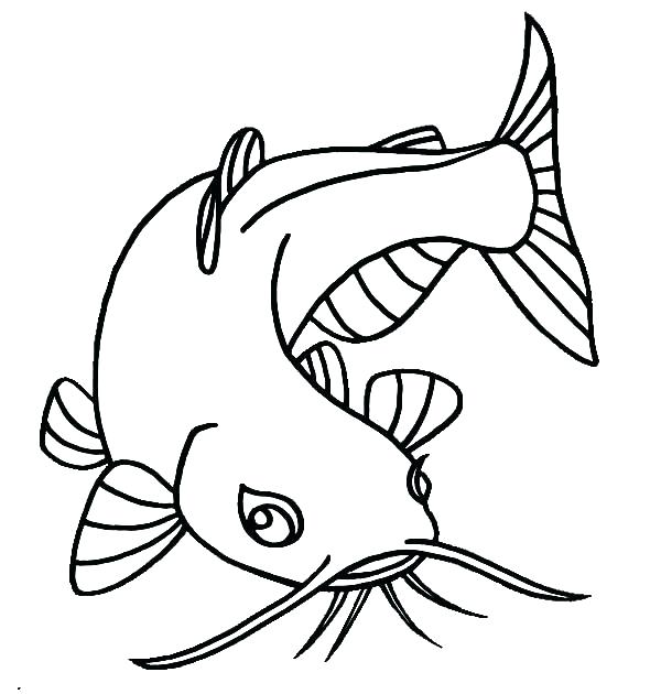 Bluegill Coloring Page at GetColorings.com | Free printable colorings