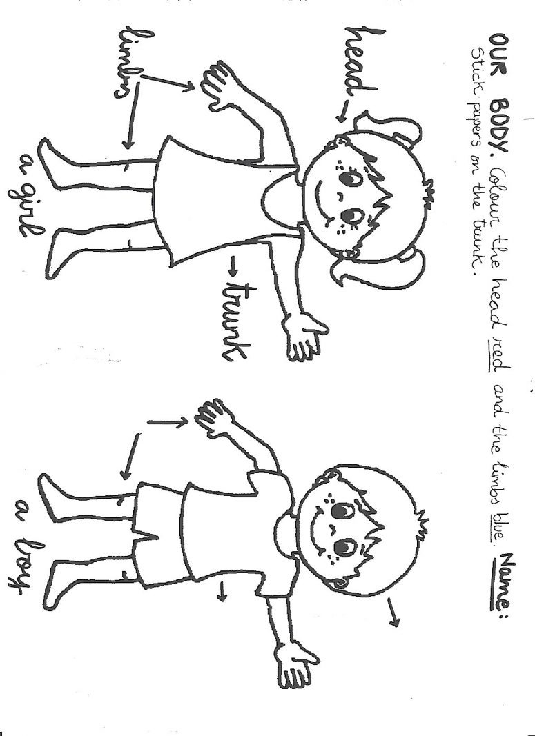 Body Parts Coloring Pages For Preschool at GetColorings ...