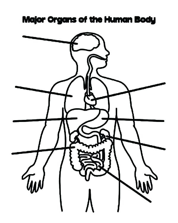  Body Parts Coloring Pages For Toddlers 