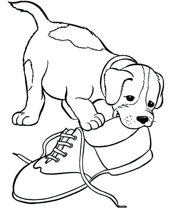 Border Collie Coloring Pages at GetColorings.com  Free printable