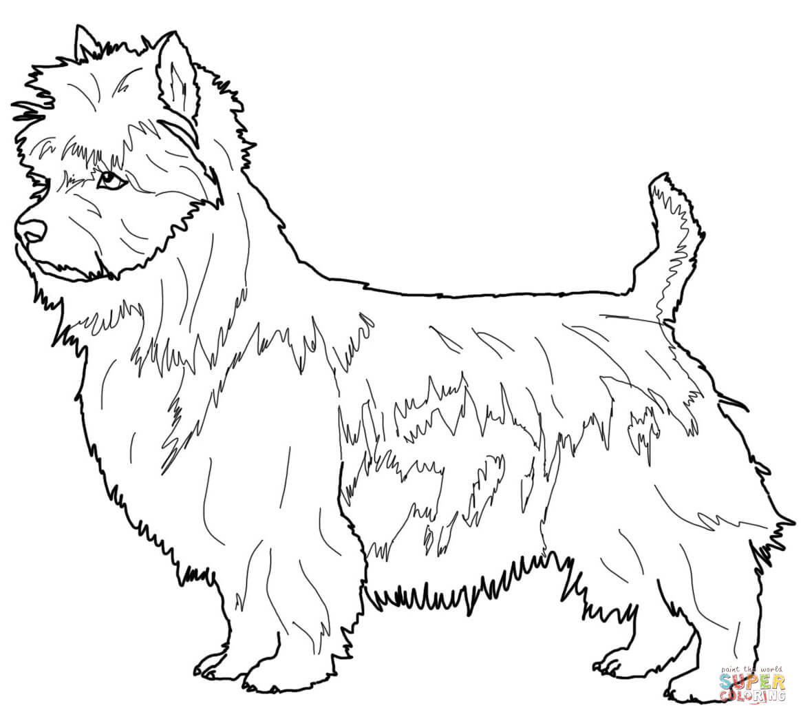 Boston Terrier Coloring Pages At GetColorings Free Printable Colorings Pages To Print And 