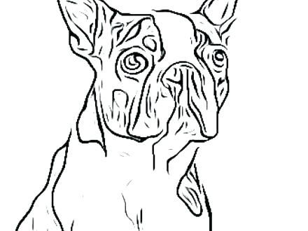 Boston Terrier Coloring Pages at GetColorings.com | Free printable ... Boston Terrier Coloring Pages at GetColorings.com | Free printable ...