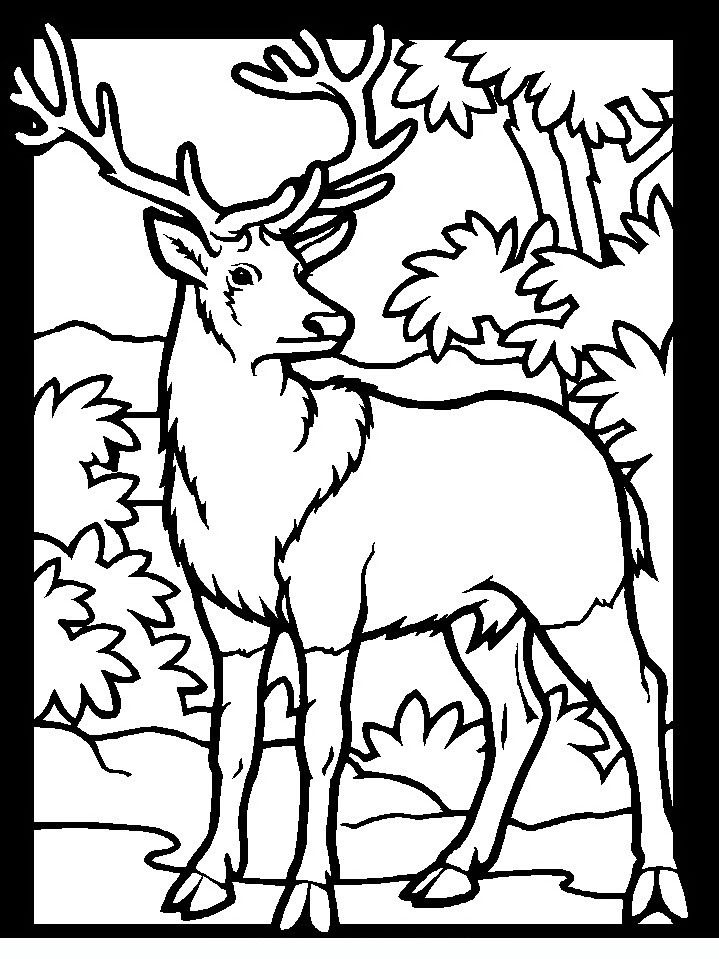 Scavenger Hunt Coloring Pages at GetColorings.com | Free printable