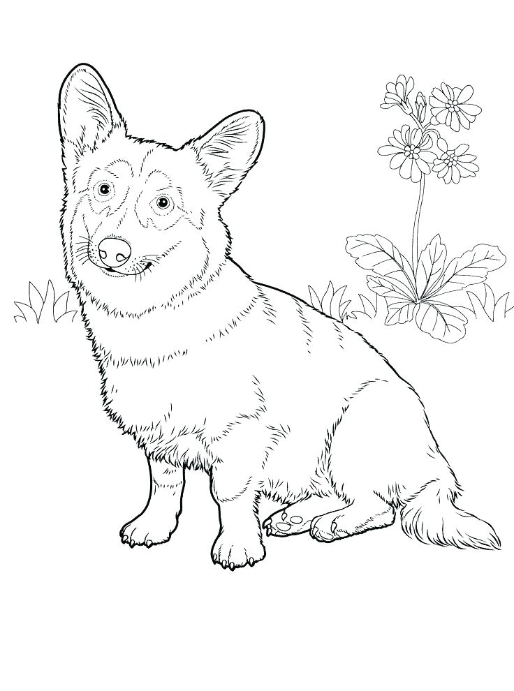 Boxer Puppy Coloring Pages at GetColorings.com | Free printable